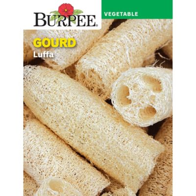 Burpee Luffa Gourd Seeds