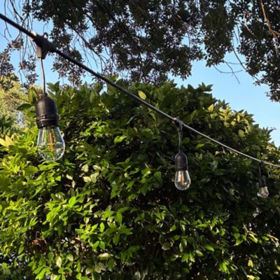 Image showing  LED String 48 ft.