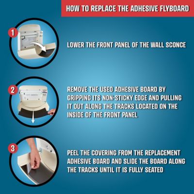 Image showing  Adhesive Fly Board - 7 .5x15.5 In, 12 Pack