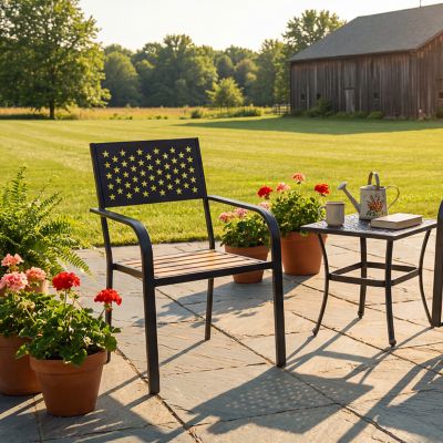 Image showing 1 th Red Shed Americana Outdoor Wooden Chair