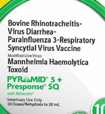 Image showing  Pyramid 5 + Presponse SQ Cattle Vaccine