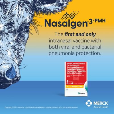 Image showing  Nasalgen 3PMH 25 Dose