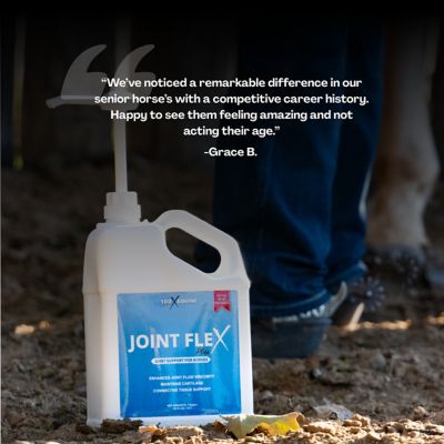 Image showing  Joint Flex Plus