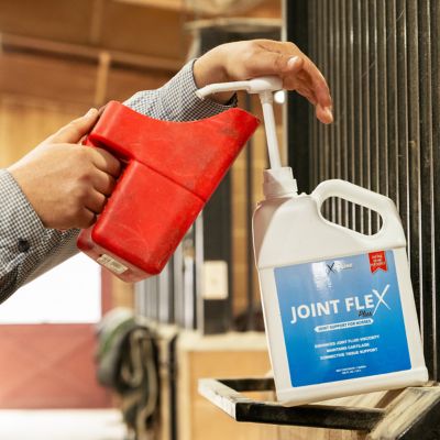 Image showing  Joint Flex Plus