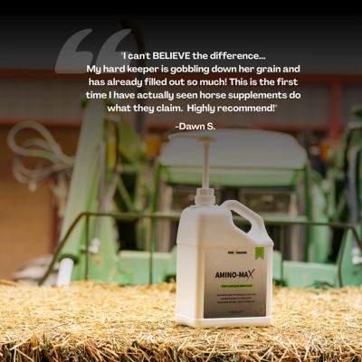 Image showing  Amino Max