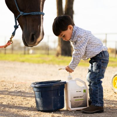 Image showing  Amino Max