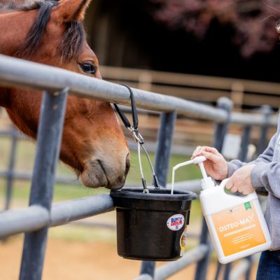 Image showing  Osteo Max