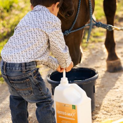 Image showing  Osteo Max