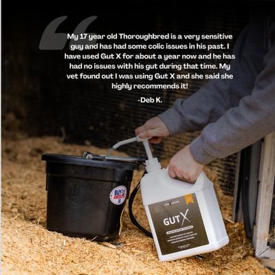 Image showing  Gut X