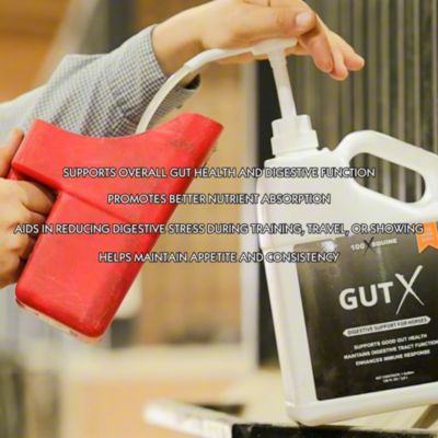 Image showing  Gut X