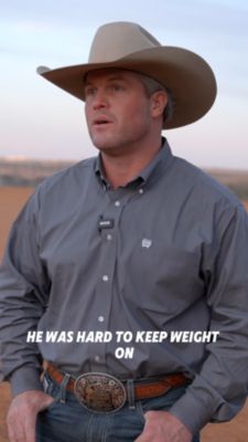 Image showing  Gut X