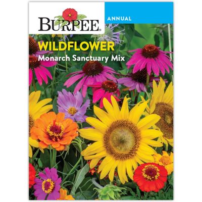 Burpee Wildflower Monarch Mix