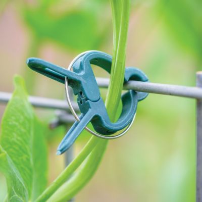 Image showing  Plant Clips 10 pk.