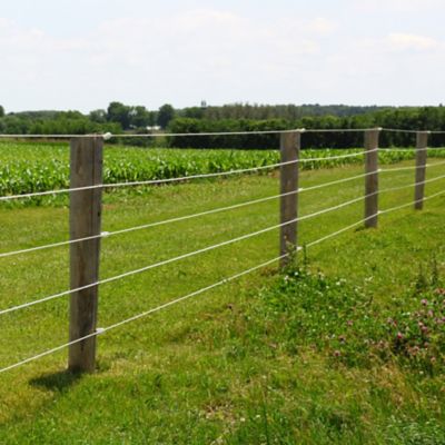 Image showing  9GA Galv Wire 171 ft. - Class 3