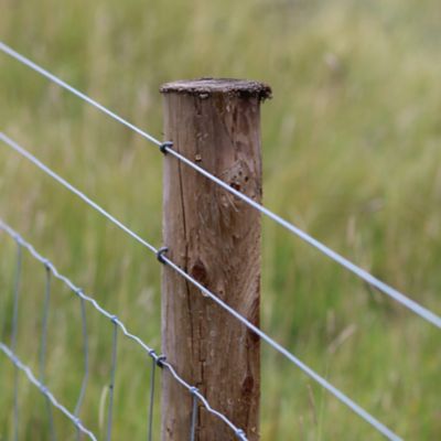 Image showing  17ga x 1/2 mile Elect. Fence