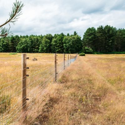 Image showing  14ga x 1/2 mile Elect. Fence