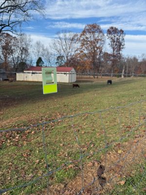 Image showing  Glow-in-the-Dark Fence Markers- 24 pk.