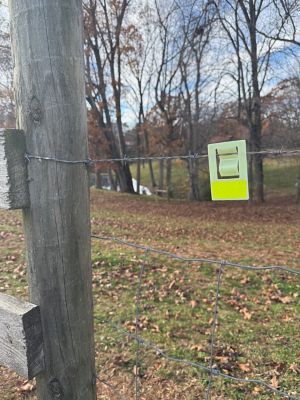 Image showing  Glow-in-the-Dark Fence Markers- 24 pk.