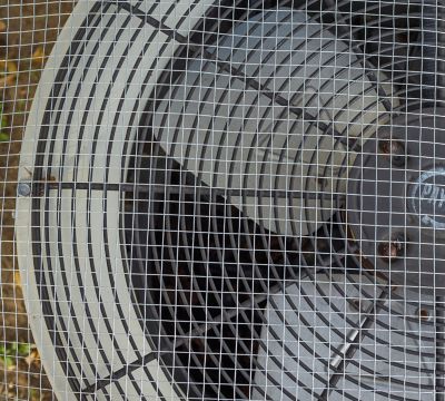 Image showing  36x25 1/4 Hardware Cloth