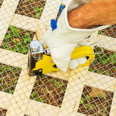 Image showing  30x50 1/2 Hardware Cloth