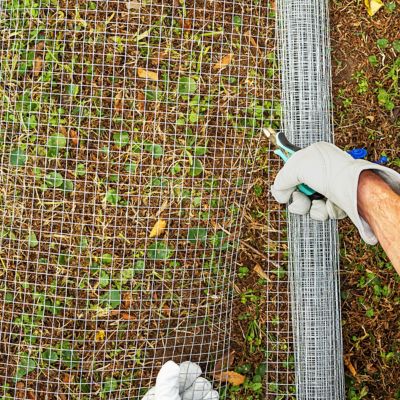 Image showing 6 th Garden Craft 30x50 1/2 Hardware Cloth