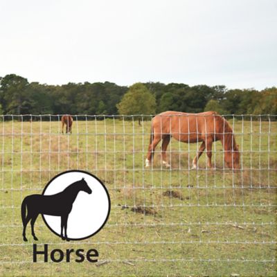Image showing  100-ft x 4-ft 12.5ga Woven Horse Fence