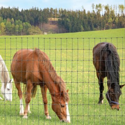Image showing 6 th IronRidge 100-ft x 4-ft 12.5ga Woven Horse Fence