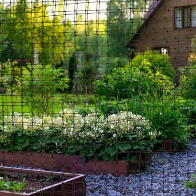 Image showing  7X100 Plant & Pond Netting