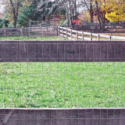 Image showing  72x50 2x4 14ga Welded Wire