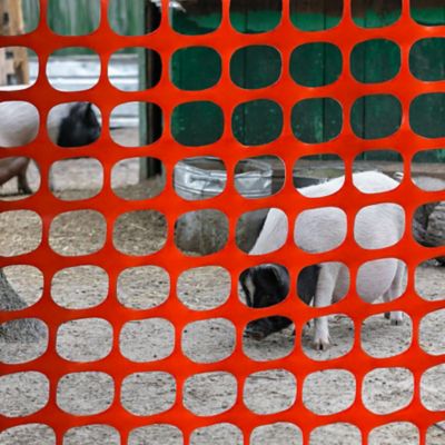Image showing  4 x 100 Orange Safety Fence