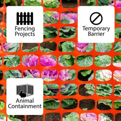 Image showing  4 x 50 Orange Safety Fence