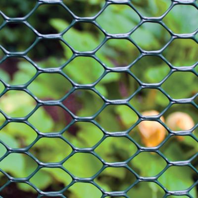 Image showing  3X25 Green Poultry Fence