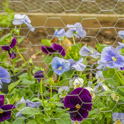 Image showing  18x50 1 in. Galv Hex Netting