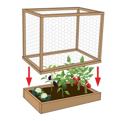 Image showing  18x50 1 in. Galv Hex Netting