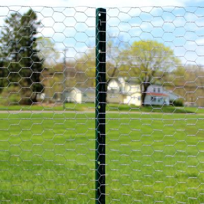 Image showing 6 th Garden Craft 18x50 1 in. Galv Hex Netting