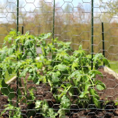 Image showing 7 th Garden Craft 18x50 1 in. Galv Hex Netting