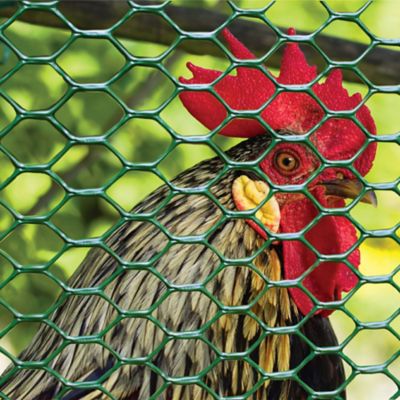 Excellent supplier product showcase