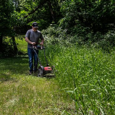 Image showing  60V Walk Behind String Mower