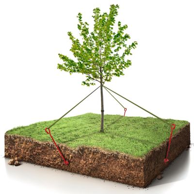 Image showing  1/2x4x30 Earth Anchor