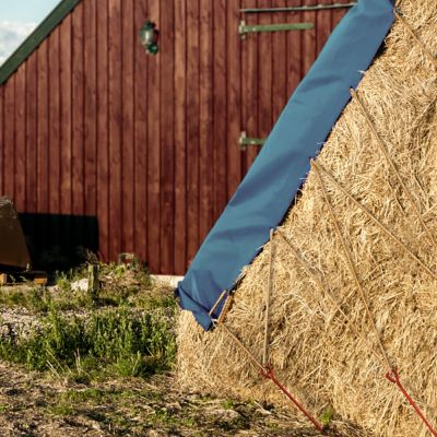 Image showing  1/2x4x30 Earth Anchor