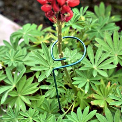 Image showing  24 in. Plant Prop