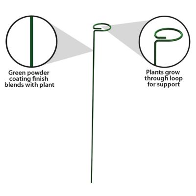 Image showing  36 Plant Prop