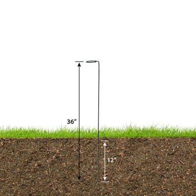 Image showing  36 Plant Prop