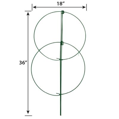 Image showing  18 Double Plant Support