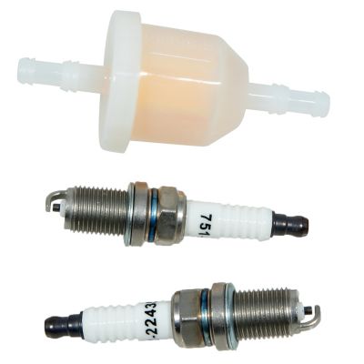 Image showing  Cub Cadet Fuel Filter & Spark Plug Kit