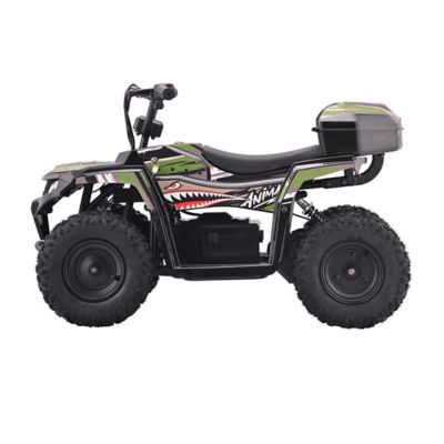 Image showing  Animal Green Youth ATV (6Y)