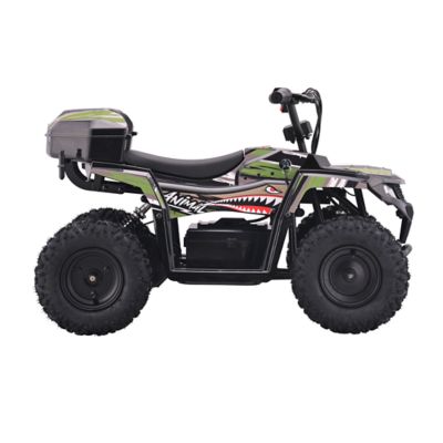 Image showing  Animal Green Youth ATV (6Y)