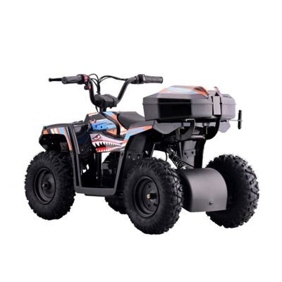 Image showing 1 th Droyd Animal Blue Youth ATV (6Y)