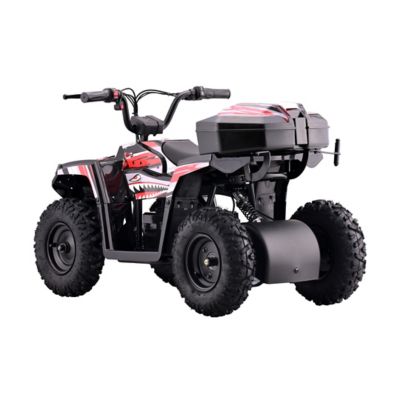 Image showing 1 th Droyd Animal Red Youth ATV (6Y)