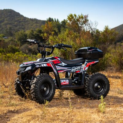 Image showing 3 th Droyd Animal Red Youth ATV (6Y)